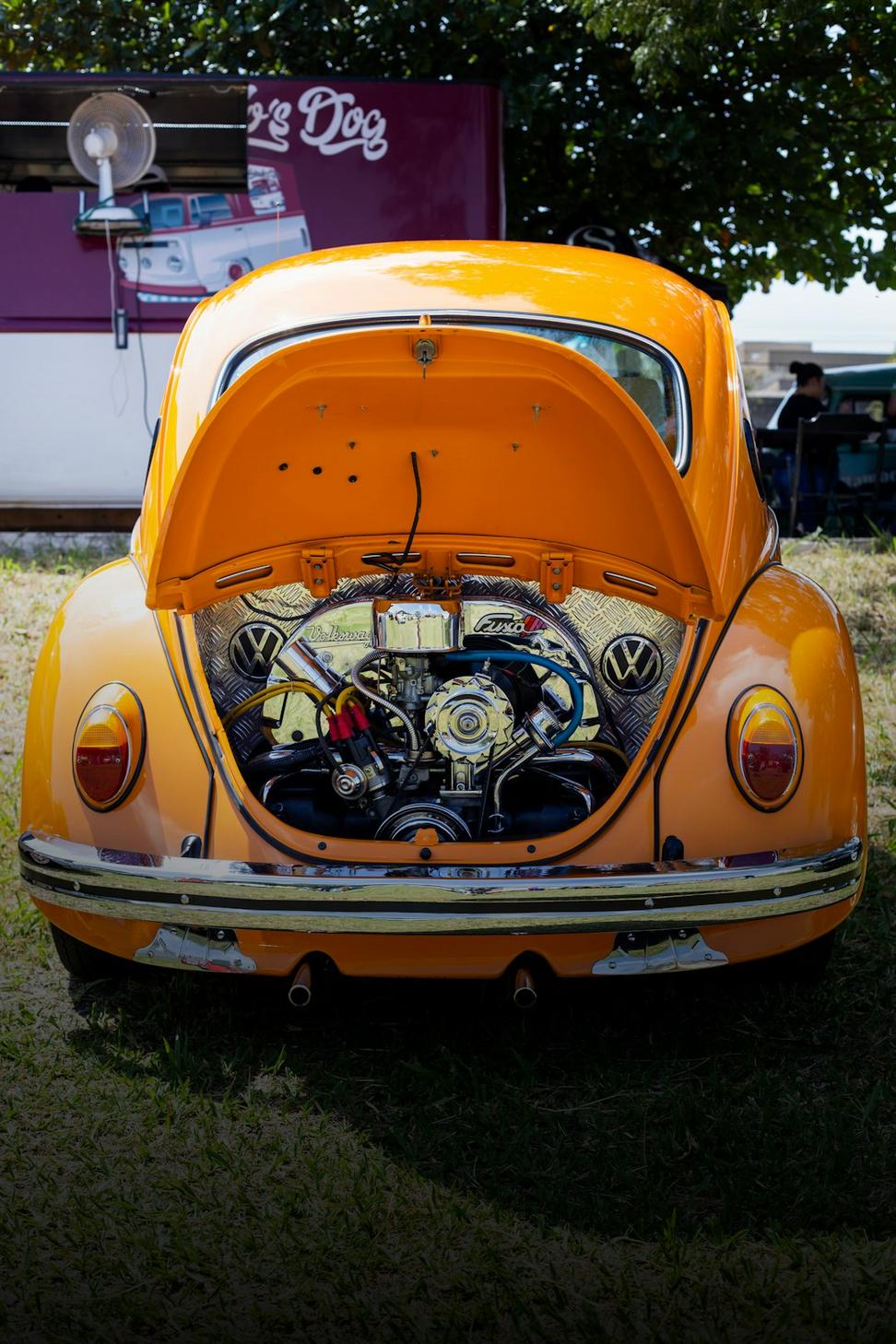 VW Beetle